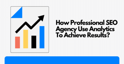 Professional SEO Agency