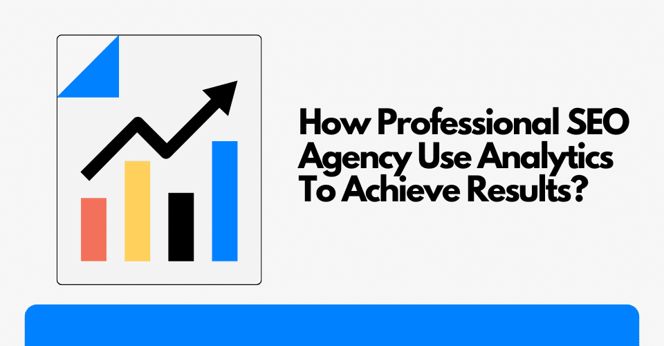 Professional SEO Agency